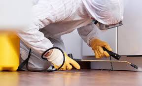 Best Termite Inspection and Treatment  in Twin Rivers, NJ